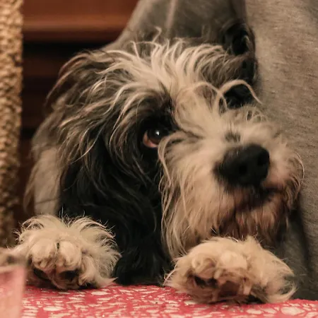 La Maravilla 3* Saint-Raphaël